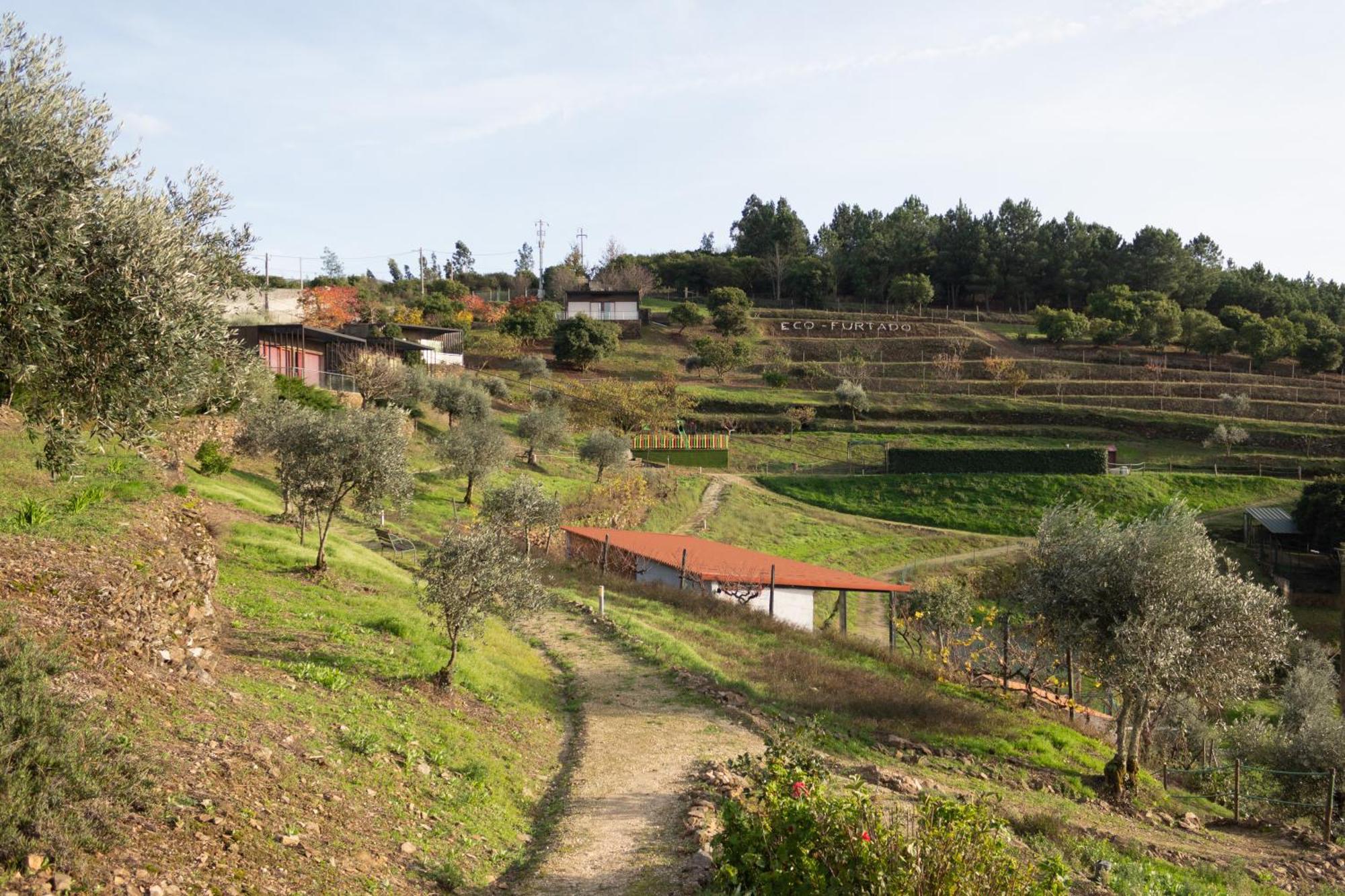 הוילה Ecofurtado מראה חיצוני תמונה