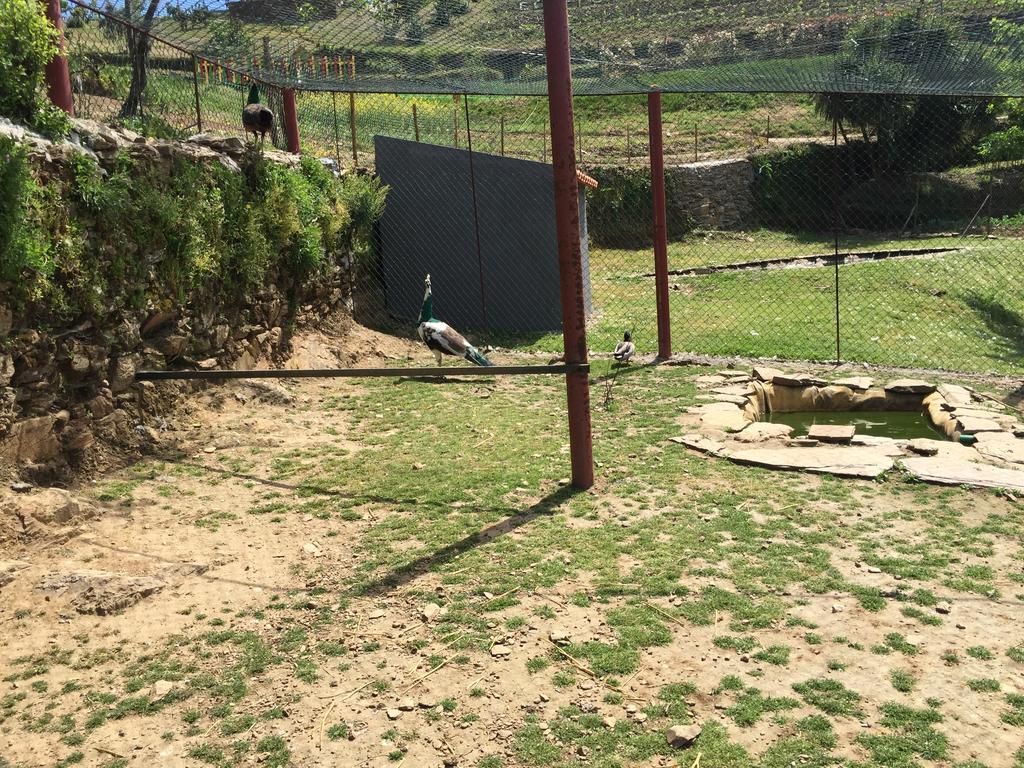 הוילה Ecofurtado מראה חיצוני תמונה